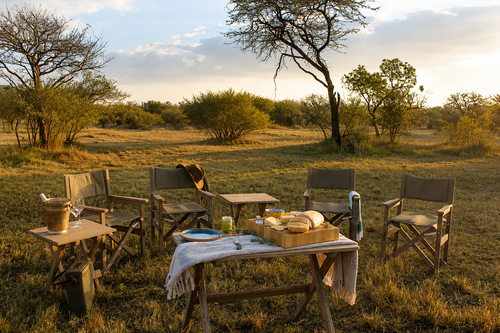 Safari Directors chair - Wag-ń-Bietjie
