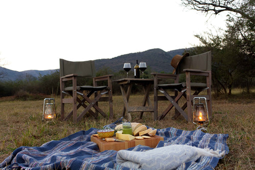 Safari Directors chair
